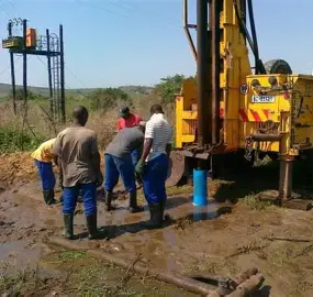 Noble's-group field project
